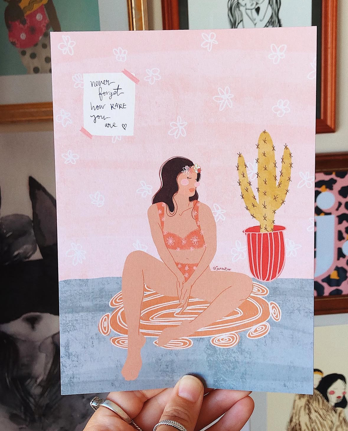 Cool Cats Mail Club - December Edition